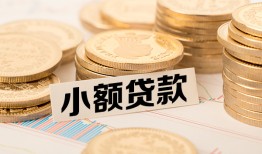 长沙急用钱哪里有小额贷款-长沙急用钱身份证贷款平台-长沙急用钱民间短借